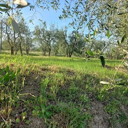 Podere Campanella Sinalunga Exterior foto