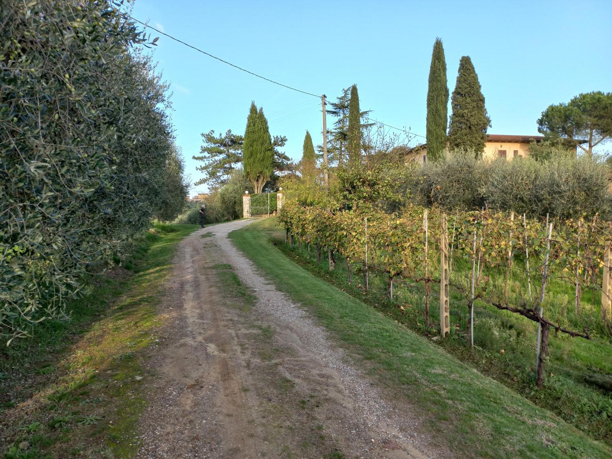 Podere Campanella * Sinalunga