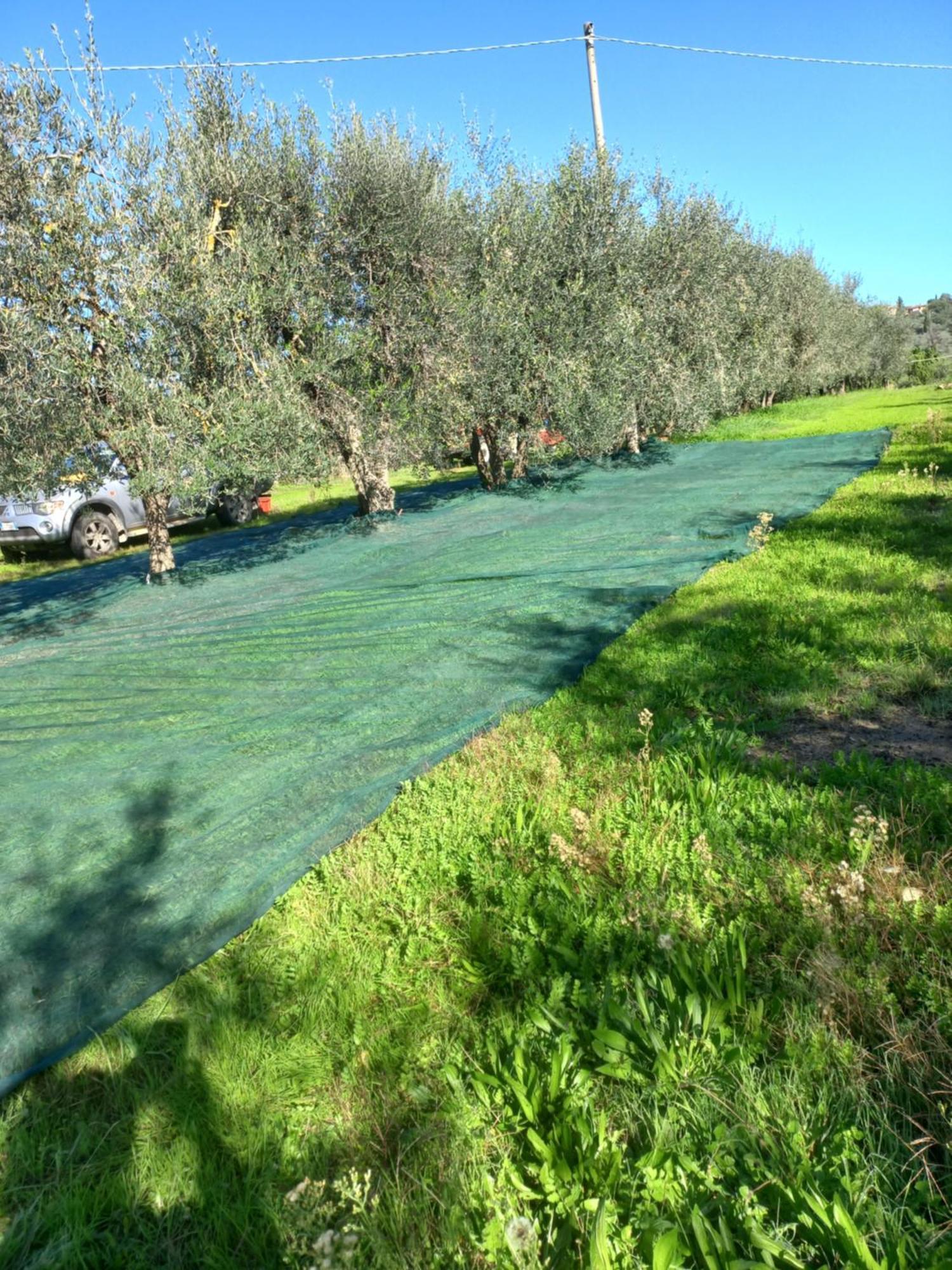 Podere Campanella * Sinalunga
